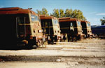 65531I524-503-519